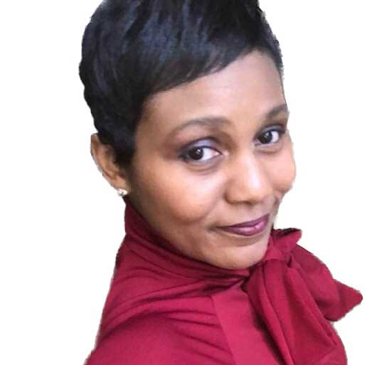 doodleville blues book by author chisa evans