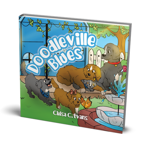 doodleville blues book by author chisa evans